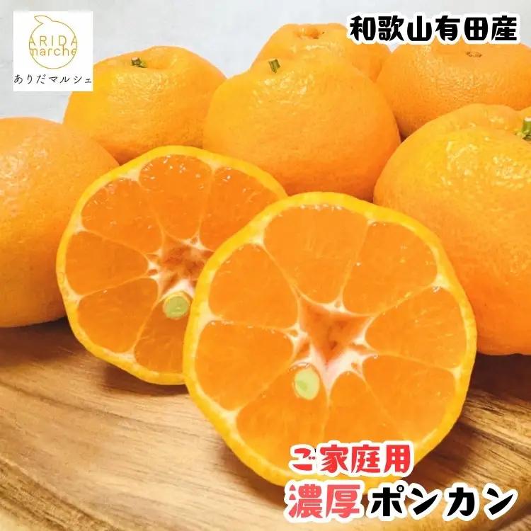 ［先行予約］極甘 柑橘 有田育ちの 濃厚 ポンカン（家庭用）3kg［MS44］