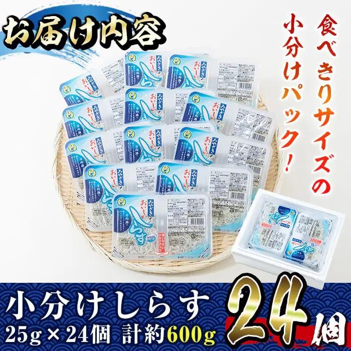 小分けしらすツインパック12個セット(計約600g・25g×2パック×12個)魚  冷凍  海鮮 【E-22】【株式会社 水永水産】