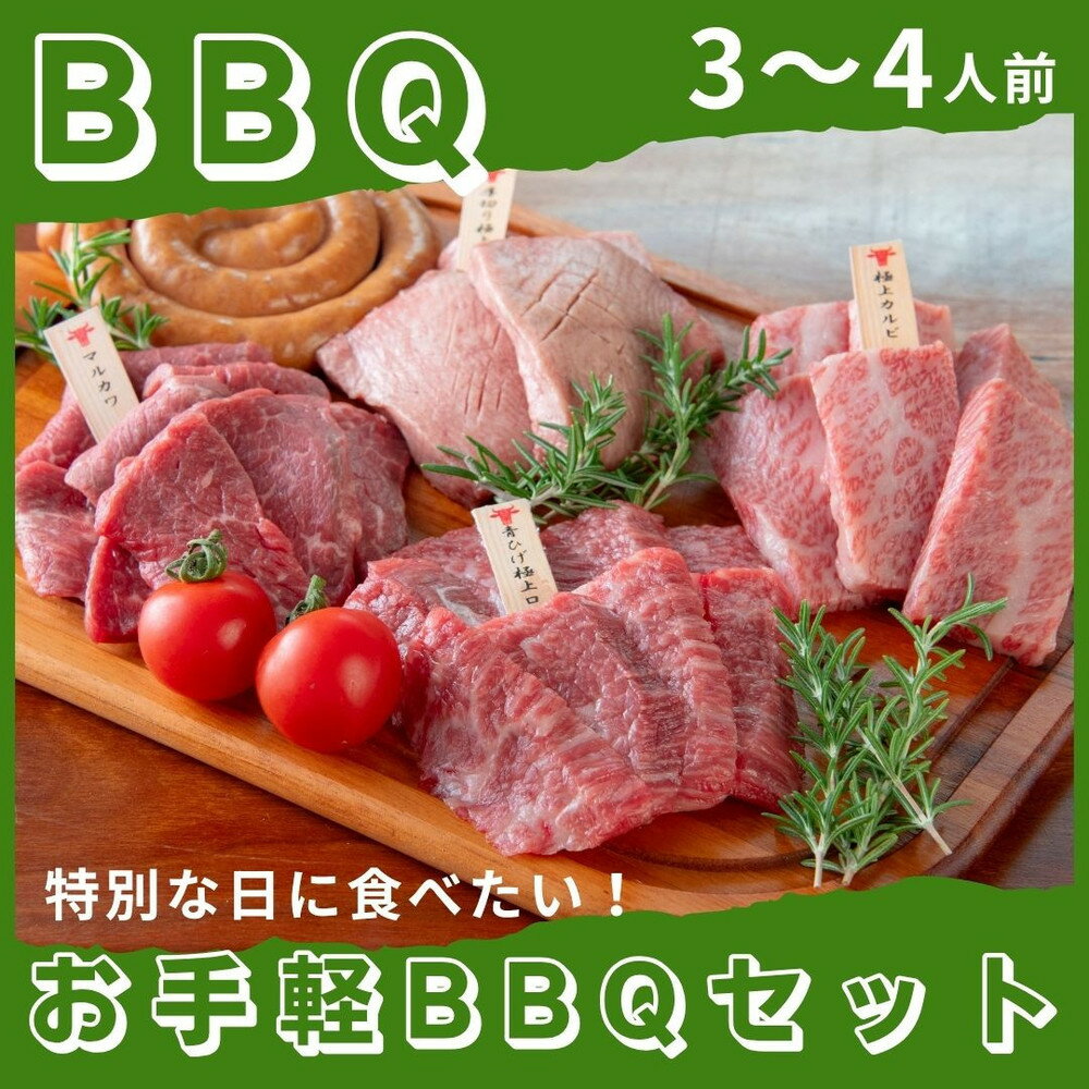 【ふるさと納税】広島牛お手軽BBQセット 3～4人前