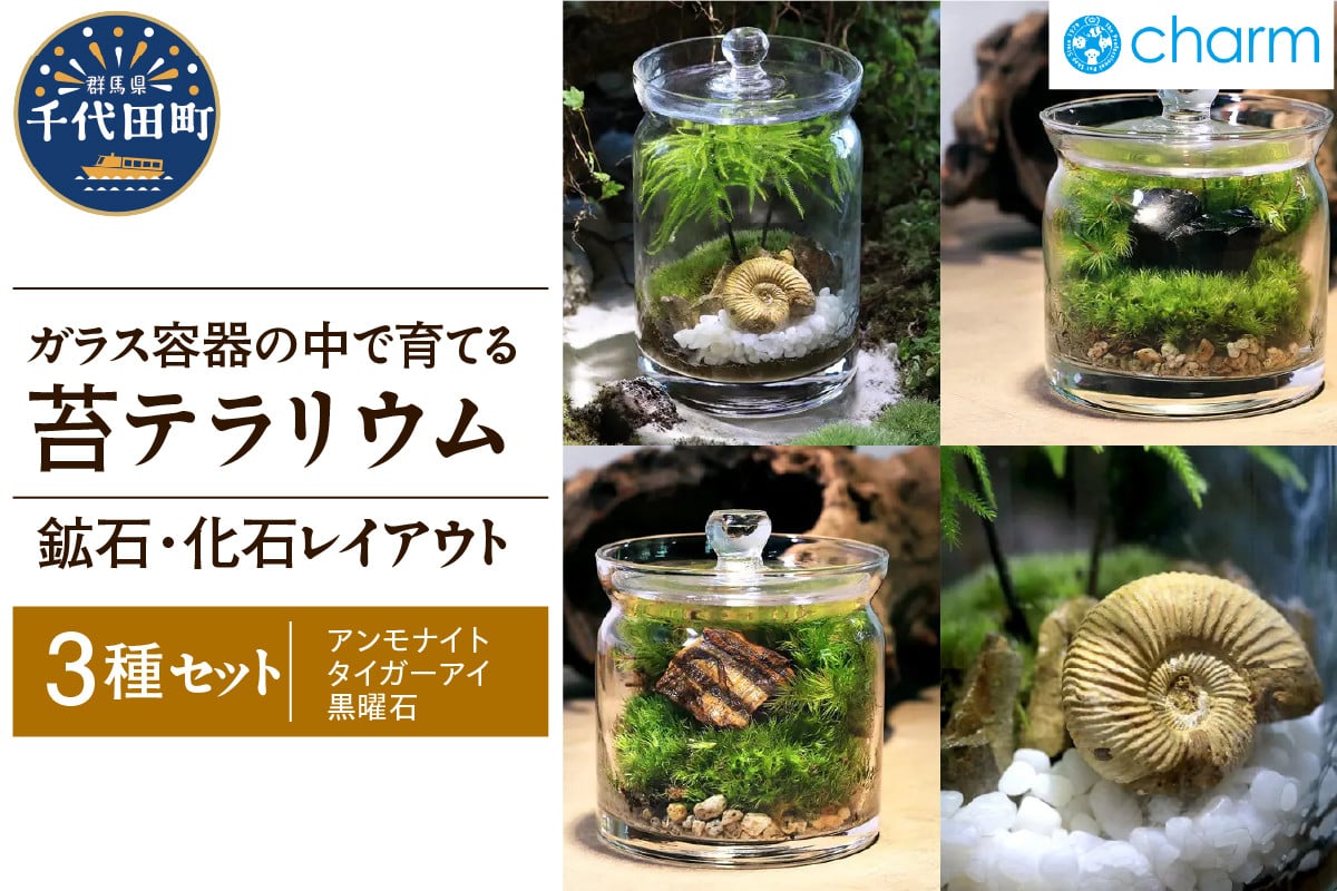 
            苔テラリウム 鉱石 化石 レイアウト 3種セット アンモナイト タイガーアイ 黒曜石 群馬県千代田町 インテリア ナチュラル かわいい 癒し 植物 リラクゼーション 室内栽培 プレゼント ギフト 贈答用 送料無料 趣味 人気 オススメ 初心者 玄関 リビング キッチン 株式会社チャーム
          
