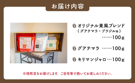自家焙煎　東風コーヒー豆100g×3点セット