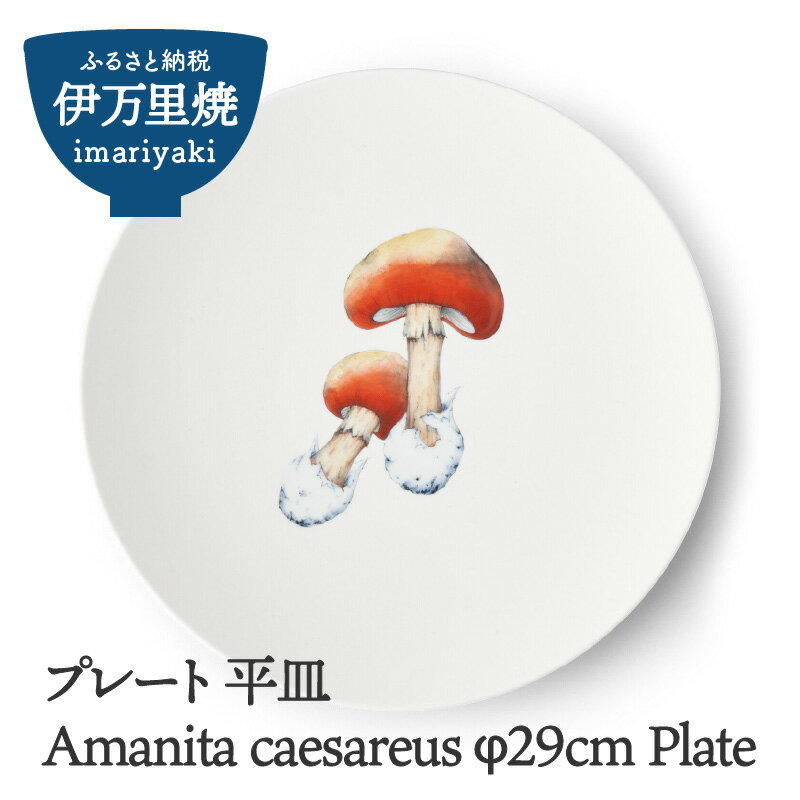 【ふるさと納税】Amanita caesareus φ29cm Plate 028-H835