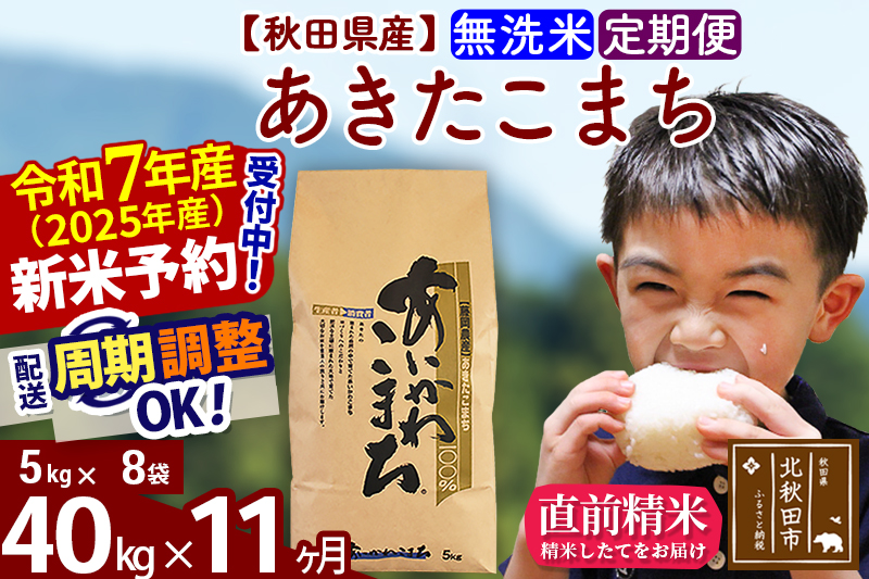 ※令和7年産 新米予約※《定期便11ヶ月》秋田県産 あきたこまち 40kg【無洗米】(5kg小分け袋) 2025年産 お届け周期調整可能 隔月に調整OK お米 藤岡農産