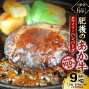 【ふるさと納税】【定期便6回】熊本県産赤牛100％ 手づくり！ハンバーグ 9kg 1500g（150g×10個）×6回発送 ハンバーグ 冷凍 牛肉 国産 レトルト セット 熊本県産 赤牛 おかず 送料無料