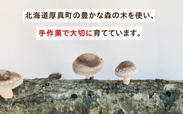 【北海道】原木 生しいたけ 1kg（200g×5パック）《厚真町》【株式会社きたい】 生 しいたけ 椎茸 きのこ キノコ 小分け 北海道 [AXAI001]