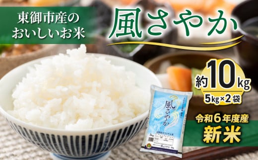 【R６年産新米】東御市産おいしいお米「風さやか」約10kg｜国産 長野県産 お米 こめ 白米