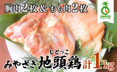 U-A3 ＜認定農家直送＞のびのびと育てたみやざき地頭鶏の生肉セット(合計1kg・モモ肉300g×2P、ムネ肉200g×2P)炭焼やソテー、鶏すき焼きに【権代ファーム】