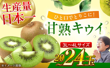 【先行予約】【2025年1月上旬より順次発送】生産量日本一！家族で毎日食べられる！甘熟キウイ 3Lから4Lサイズ（20から24玉入） キウイ キウイフルーツ 果物 フルーツ くだもの 愛媛県産キウイ 愛媛県大洲市/沢井青果有限会社果物 [AGBN001] キウイ キウイフルーツ 果物 フルーツ くだもの 愛媛県産キウイ