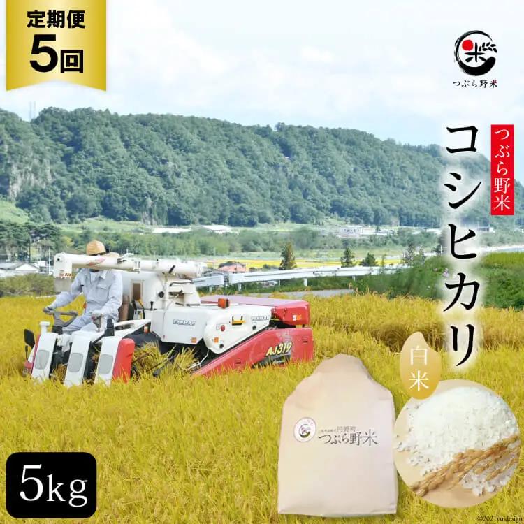米 令和8年 5回 定期便 つぶら野米 コシヒカリ 白米 5kg×5回 総計25kg