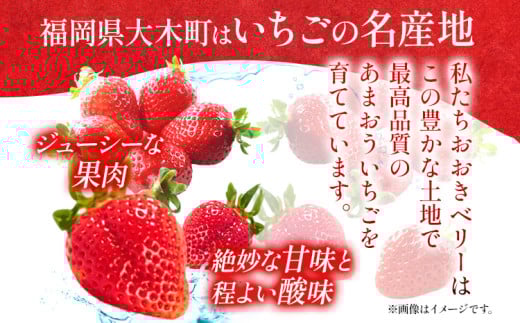 【3回定期便】 期間限定 いちご あまおう 苺 イチゴ 1.6kg あまおう（大玉）、2パック×3回（1月、2月、3月）定期便 【2026年1月～3月中に順次発送】 ※北海道・沖縄・離島は配送不可 大