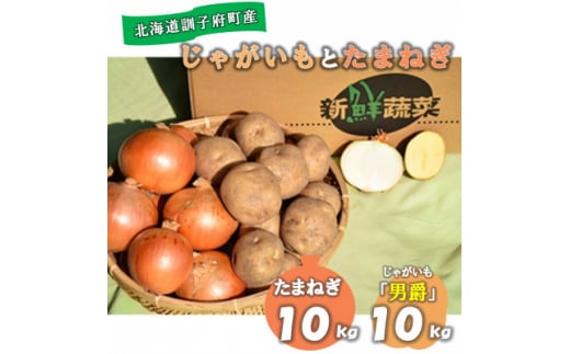 佐藤農場のじゃがいも「男爵」10kgと玉葱10kgセット【1097718】