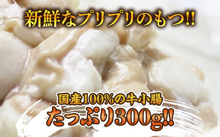 博多 明太 醤油 もつ鍋 セット 2〜3人前 吉富町/株式会社ベネフィス[BGAF010]