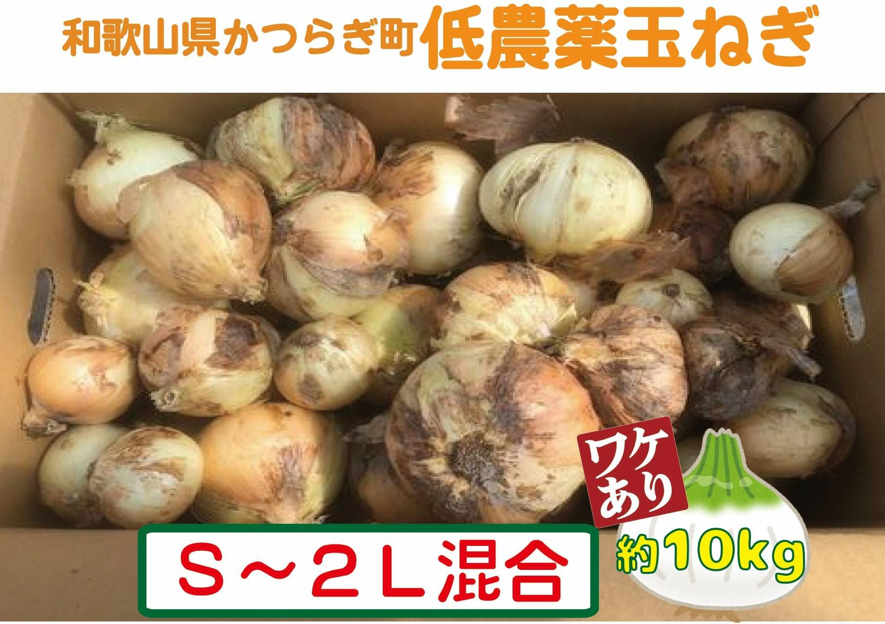 
            【訳あり】 農家さん直送 低農薬玉ねぎ 約10kg S～2Ｌ混合【4月中旬～7月中旬発送予定】【ご家庭用※傷有り】
          