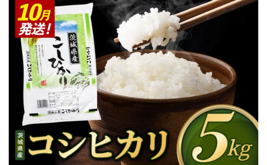 米 コシヒカリ 精米 5kg 令和8年産 茨城県産 お米 こめ コメ ごはん 白米 こしひかり 茨城県産米 単一米 単一原料米 安心 安全 送料無料 国産 人気 数量限定 （85-R8i025_10）