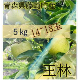 藤崎町産りんご　王林　家庭用　約5kg【配送不可地域：離島・沖縄県】