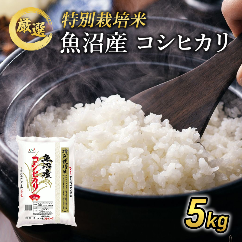 令和7年産 【特別栽培米】 お米アドバイザー厳選 魚沼産コシヒカリ (精米) 5kg （ 米 精米 白米 お米 こめ コメ こしひかり コシヒカリ 魚沼 ）