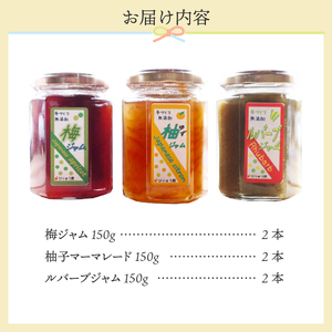 びりゅう館手作り　ジャム6本セット 無添加 ジャム 梅 ルバーブ ゆず セット フルーツ 手作り びりゅう館 手作りジャム6本セット プレゼント 贈り物 贈答 ギフト 夏ギフト 送料無料 山梨県 上野