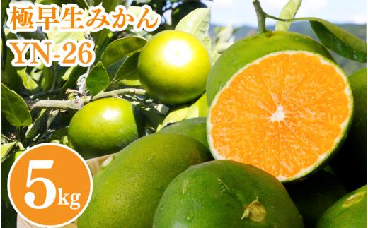【2025年分先行予約】極早生みかん YN-26（紀のゆらら）5kg【9月上中旬以降順次発送予定】 / 和歌山県 田辺市 みかん 早生みかん 柑橘 果物【mrn004-2】