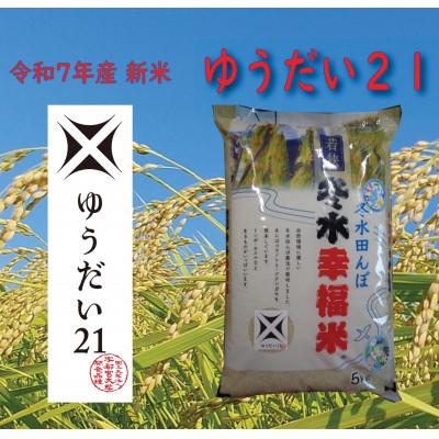 ふるさと納税 若狭町 令和8年産　冬水幸福米(ゆうだい21) 精米 5kg