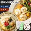 【ふるさと納税】【選べる詰め合わせ】そうめんの吉田がつくるそうめん 各5束×3袋 / 素麺 そうめん うどん 贈答 / 南島原市 / 吉田食品手延工場[SCL020]