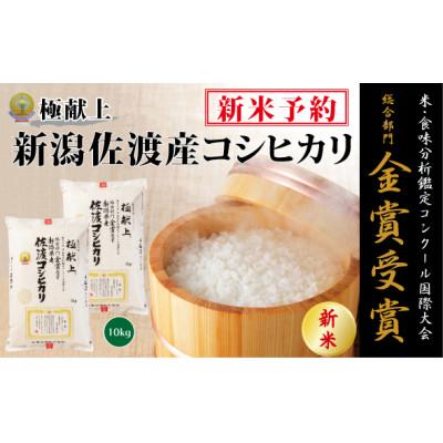 ふるさと納税 佐渡市 【令和7年産新米先行予約】　　　　　　　金賞受賞　佐渡産コシヒカリ　　　　10kg(5kg×2)　