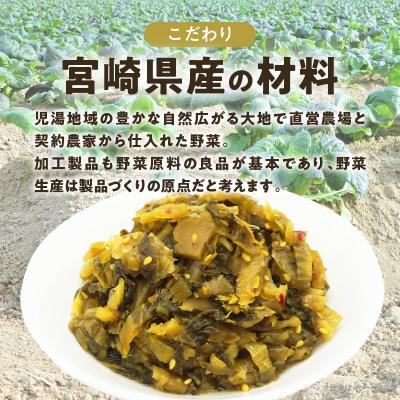 ふるさと納税 都農町 ＼ポスト投函/旨ごま高菜&ピリ辛高菜セット 計2袋(各120g) 漬物 おかず_T025-026 |  | 01