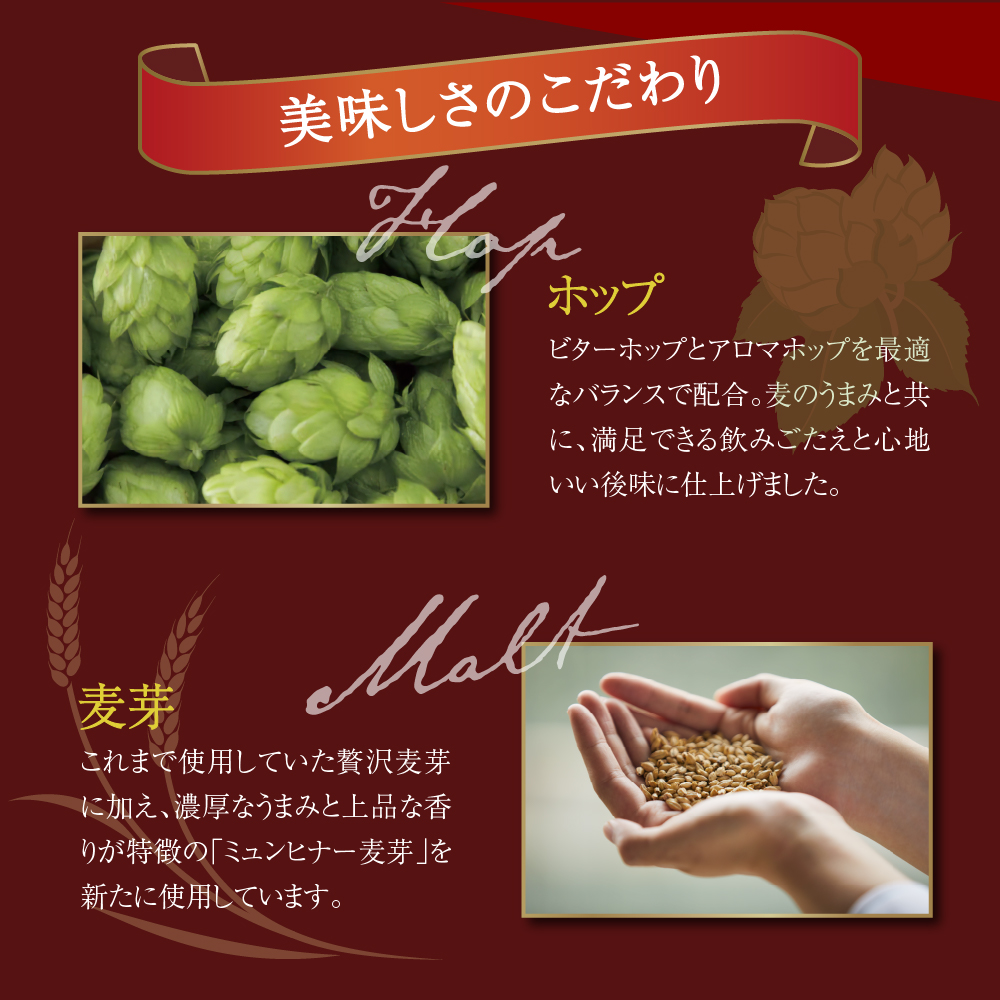 【2箱セット】金麦〈ザ・ラガー〉350ml×24本(2箱)  ch016-011s_イメージ3