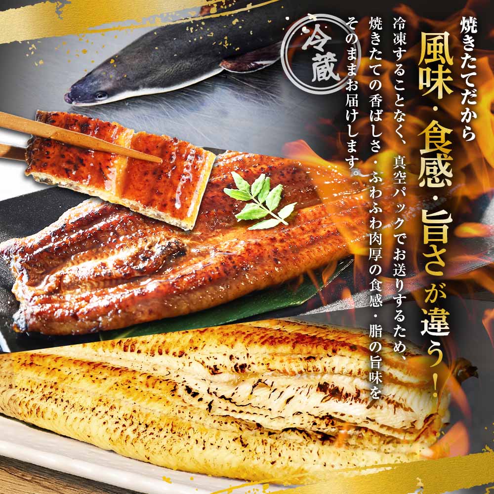 ～四国一小さなまち～ ヤマシン特選うなぎの蒲焼き３尾＋白焼き３尾入り（特製タレ付き） うなぎ 鰻 ウナギ 国産 高知県産 合計6尾 蒲焼 かばやき 白焼き 特製タレ 冷蔵 配送 真空パック