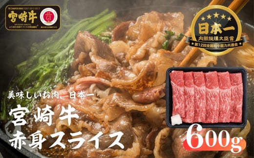 宮崎牛 赤身スライス600g_Tk024-021