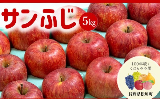 
                  AS09 りんご サンふじ（松川町産）秀品 約5kg ／2026年12月上旬頃～12月中旬頃 配送予定 // 長野県 南信州 松川町 ギフト りんご リンゴ 林檎 サンふじ サンフジ 贈答
                
