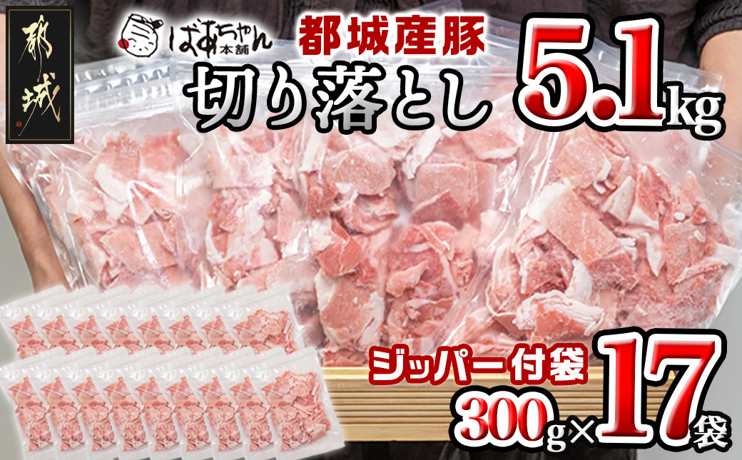 
都城産豚切り落とし5.1kg(ジッパー付袋入り)_16-1502_(都城市) 都城産 豚肉 ウデ モモ 切り落とし チャック付き 小分け 冷凍 省スペース
