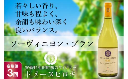 
【3回定期便】ソーヴィニヨン・ブラン 750ml×1本＜ヴィニョブル安曇野 DOMAINE HIROKI＞【長野県池田町】
