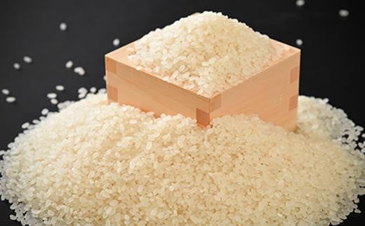 
            羽咋市産　コシヒカリ　羽咋米（白米）　5kg
          