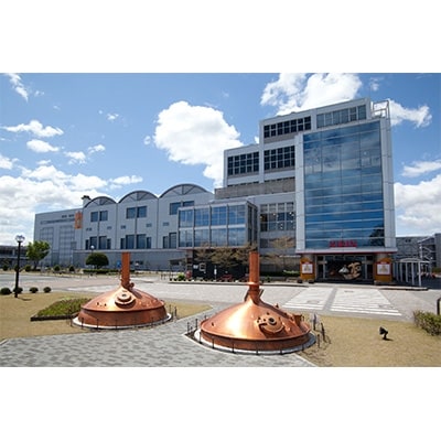 キリン氷結ストロングシチリア産レモン350ml×24本