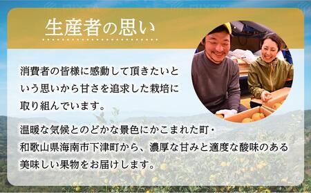 ［先行予約］不知火（完熟栽培）15玉～28玉 約5kg 家庭用【和歌山 海南市 農園直送】