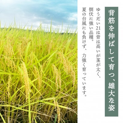 【令和6年産】柳津町産「こしひかり・ゆうだい21」食べ比べ 各5kg〈令和7年3月下旬発送予定〉