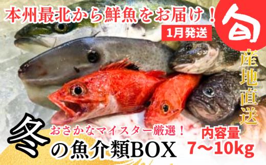 【1月発送開始】おさかなマイスター厳選　冬の魚介類BOX　(M)