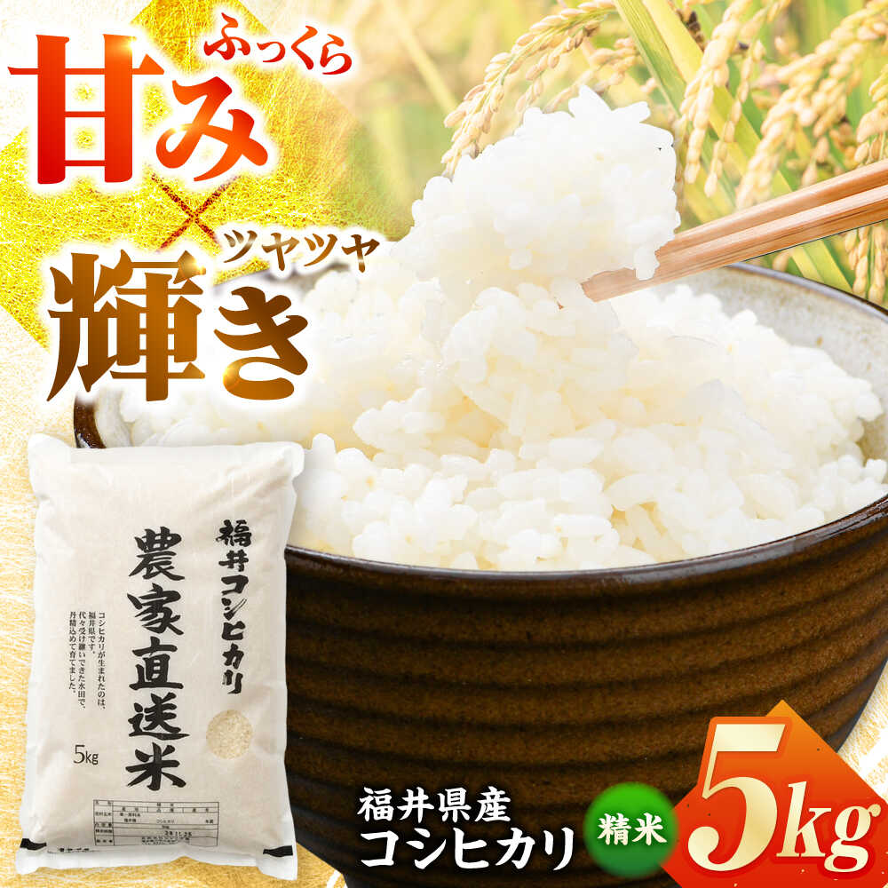 【ふるさと納税】【 先行予約 /9月以降発送】【令和7年産】福井県産こしひかり 精米 5kg（ビニール袋） 小浜市 / シマダ農園[BFAV001]