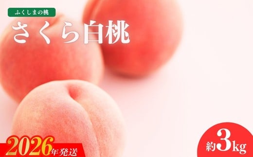 
            No.1518福島のもも「さくら白桃」約3kg【2026年発送　先行予約】
          