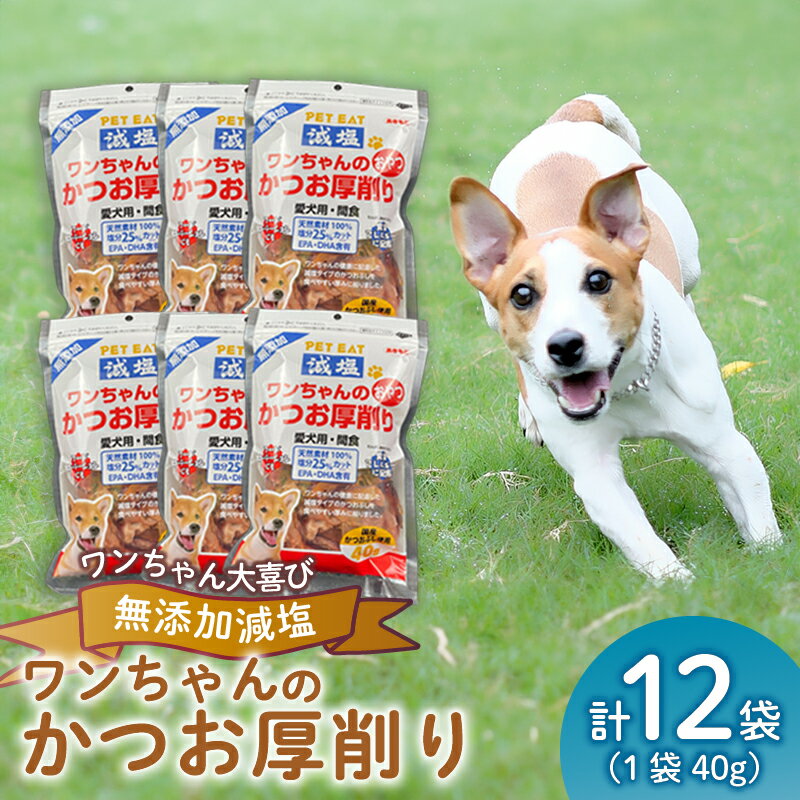 【ふるさと納税】 犬 エサ 無添加 減塩 かつお節 厚削り 480g カツオ 鰹 小分け パック ペットフード ドッグフード たんぱく質 カルシウム 国産 健康 おやつ 高タンパク 犬用 おいしい 人気 栄養 バランス 犬の餌 沼津市 静岡県