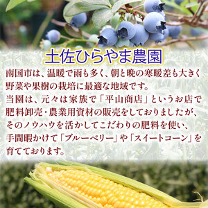 【全2回定期便】完熟生ブルーベリー （サザンハイブッシュ系）各600g（100ｇ×6パック） | フルーツ 果物 ベリー