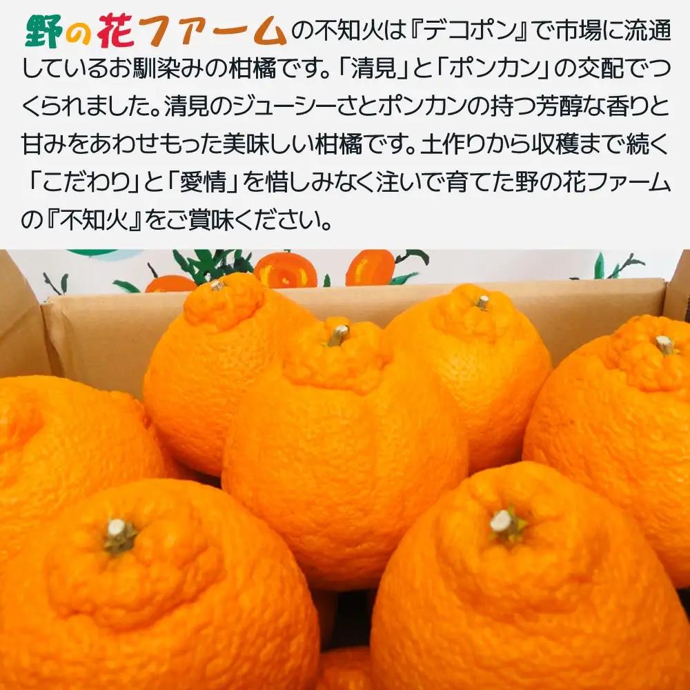 【先行予約・数量限定】不知火 みかん 6kg | みかん