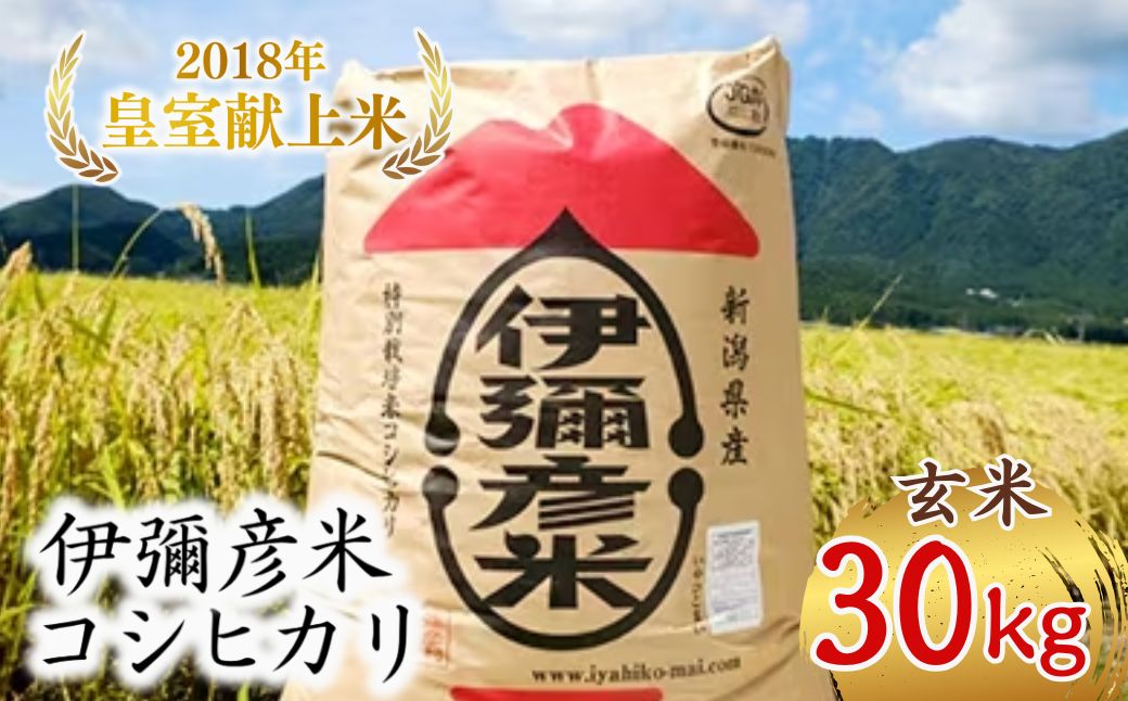 ＜令和7年産・皇室献上米 伊彌彦米コシヒカリ＞玄米30kg (2018年新嘗祭献上) | 新潟県 弥彦村 特別栽培米弥彦コシヒカリ 新潟県産 白米 玄米 げんまい お米 こしひかり こめ コメ 30キ