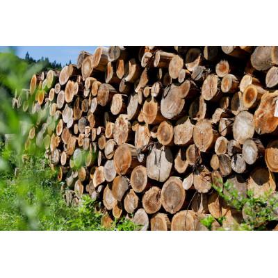 ふるさと納税 南陽市 火のごちそう Fire wood MIX(焚き火用薪)5kg【S1200】 |  | 03