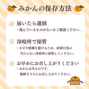 青島みかん 約 10kg マルセ縄巻農園 牧之原市