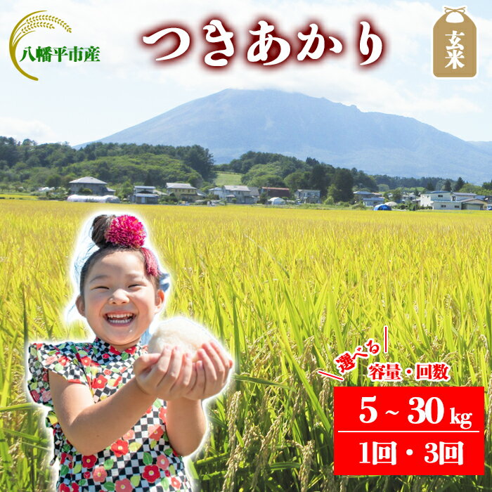 【ふるさと納税】 【令和7年産】【先行予約】 2025年産 岩手県産 米 こめ お米 玄米 選べる 発送回数 1回 3回 容量 5kg 10kg 30kg つきあかり ／ げんまい ご飯 ごはん おこめ ライス 単発便 定期便 おにぎり おすすめ 国産米 東北 岩手県 八幡平市 送料無料 かきのうえ