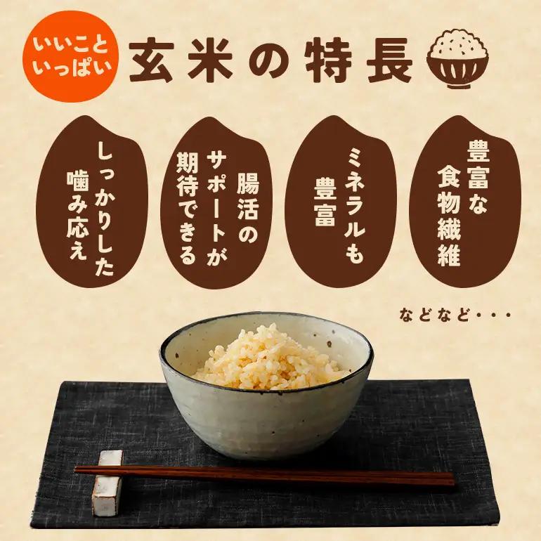 玄米 米 20kg 令和8年産 にじのきらめき お米 FH-026-N