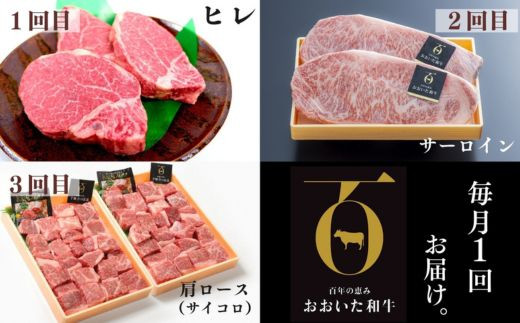 厳選ステーキ定期便 全3回 ヒレ サーロイン 肩ロース サイコロ ステーキ おおいた和牛 黒毛和牛