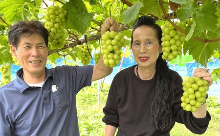 ピオーネとシャインマスカットの詰合せ　２～３房　0010-2601