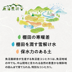 【令和7年産】無洗米 米農家自慢の 魚沼産 コシヒカリ2kg×１袋 米 お米 こめ こしひかり 白米 無洗 新潟県 魚沼市 魚沼